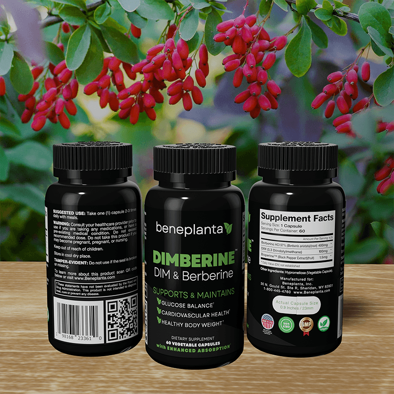 DIMBERINE - DIM & Berberine, High Purity Enhanced Absorption Formula - 60 Capsules