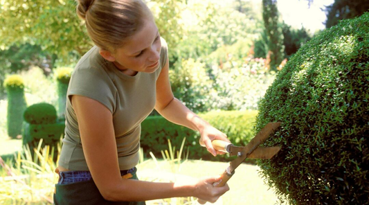 Woman sculpting garden topiary with care symbolizing precision needed for effective sustainable weight loss