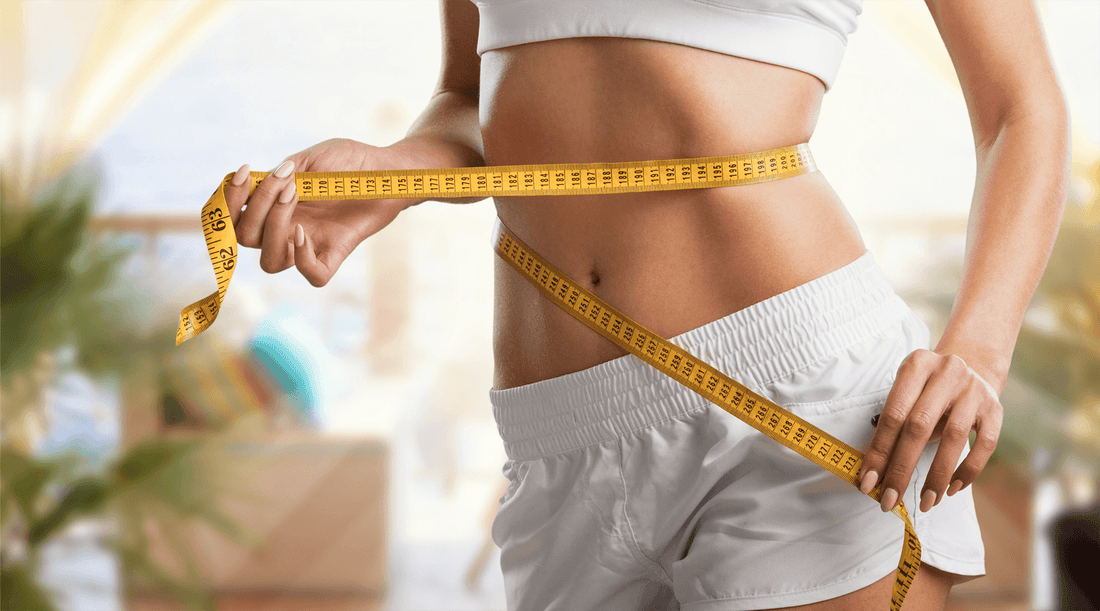 Berberine natural weight loss supplement and metabolism booster for fat burning and improved metabolic health