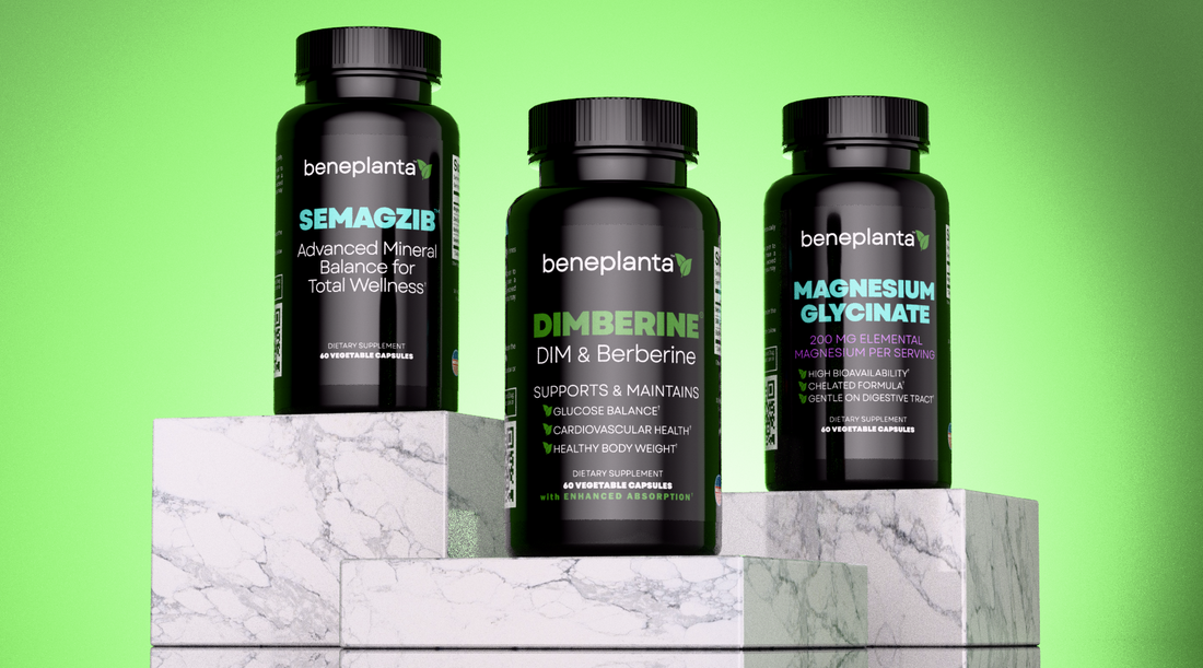 How Dimberine and Magnesium Enhance Your Wellness Journey