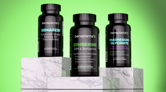 How Dimberine and Magnesium Enhance Your Wellness Journey